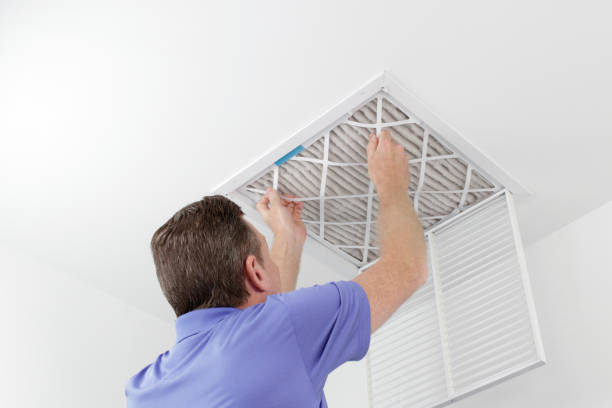 Best Ductwork Cleaning Services  in Fayette, LA